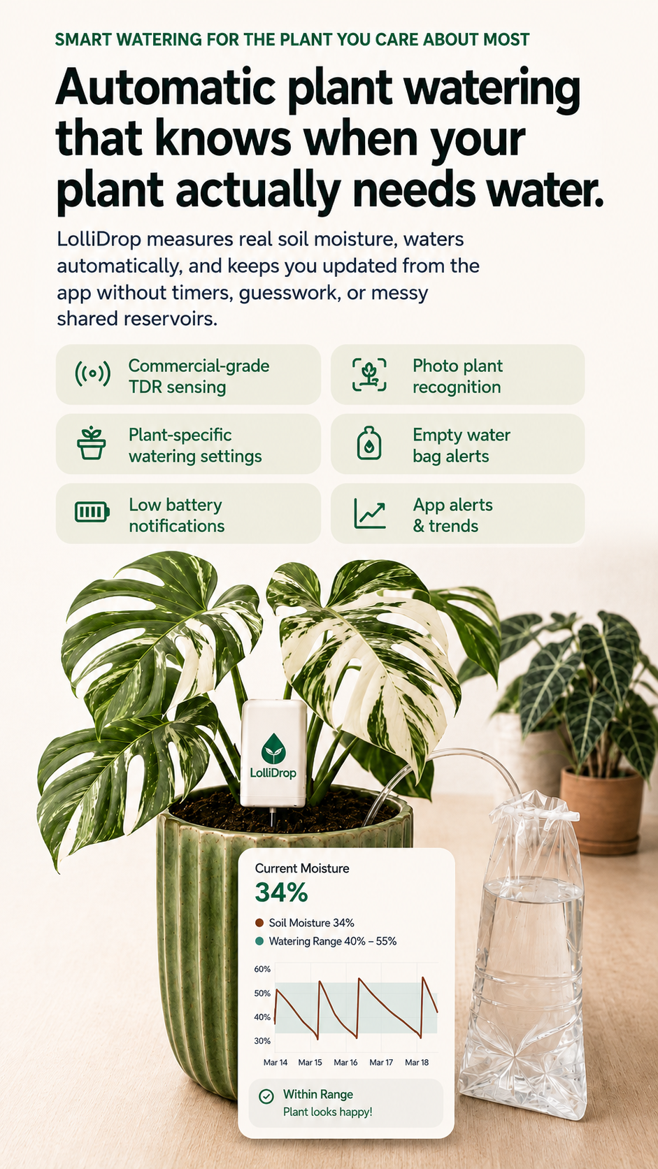 LolliDrop installed in a green pot with the water bag beside it and app moisture status shown