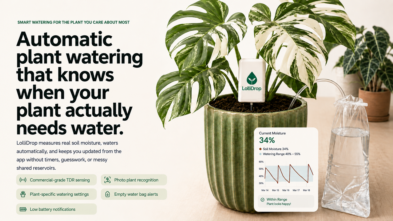 LolliDrop installed in a green pot with the water bag beside it and app moisture status shown