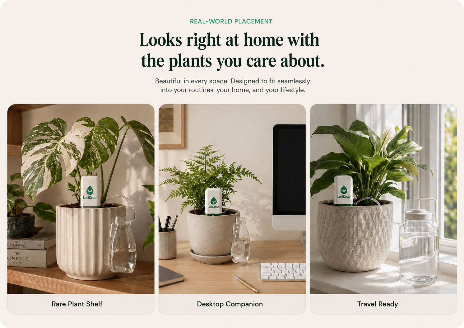 LolliDrop shown in three real home placements including a plant shelf, desktop setup, and travel-ready windowsill