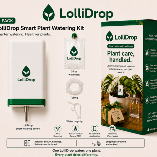 LolliDrop Single Pack product image