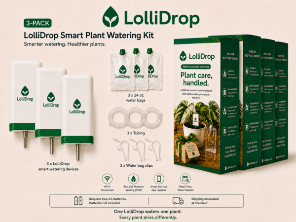 LolliDrop 3-Pack product image